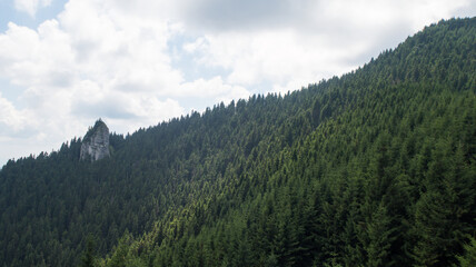 Landscape of forest in mountains with high peek of rock during a cloudy day - sky with clouds