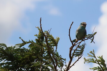 Photos taken in Kruger National Park
