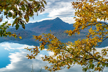 Blick zwischen den Herbstbl&auml;ttern hindurch auf die bayerischen Alpen am Walchensee