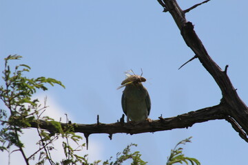 Photos taken in Kruger National Park
