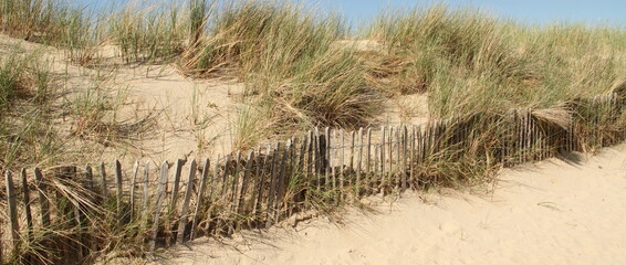 a beach access in Holland with dune grass and a fence