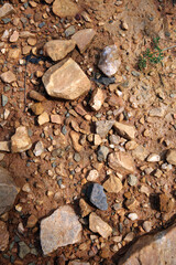 Moist yellow soil with lots of small stones, detailed texture