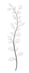 Tree branch with leaves in vintage style on a white background