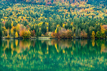 Spiegelung des herbstlichen Waldes im See