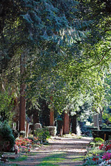 Weg auf dem Friedhof