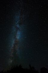 Fototapeta na wymiar View of the starry sky with the Milky Way galaxy in August at 57 degrees north latitude