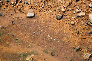 Moist yellow soil with lots of small stones, detailed texture