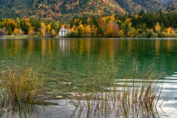 Herbststimmung am Ufer des Walchensees in der Jachenau - obrazy, fototapety, plakaty