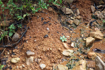 Moist yellow soil with lots of small stones, detailed texture