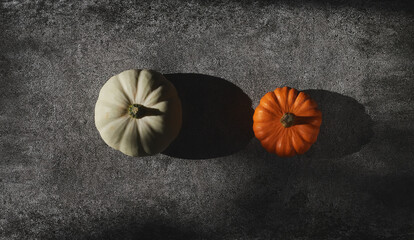 Flatlay with orange and white decorative pumpkins on stone texture with hard light