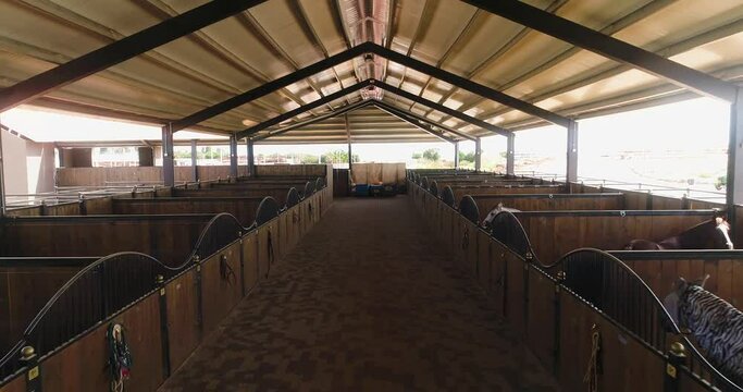Inside view or horse stallion barn ranch. Aerial dolly shot at daytime in horses farmhouse at countryside. Trained equestrian stall waiting in rooftop shelter