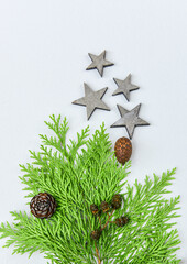 Tannengrün mit Zapfen und Sternen auf weißem Hintergrund - Weihnachten natürlich dekorieren,...