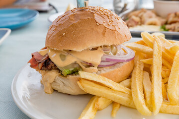 Big burger with french fries boundary
