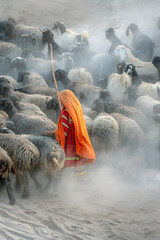 shepherdess with colourful dress with  herd of sheep in dust , shepherds from Baluchistan