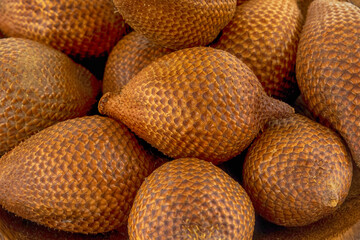 Salaka, snake fruit dark brown background tropical fruit asia design