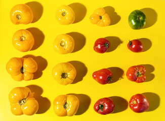 Rhythm pattern of different color farm tomatoes with hard shadows on bright yellow background.