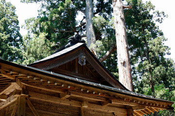 神社の屋根