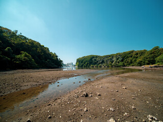 秋晴れの小網代の森の風景