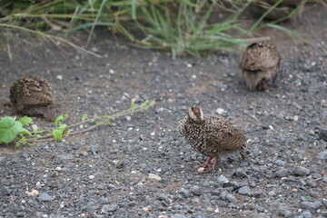 Photos taken in Kruger National Park