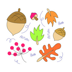 Cute Cartoon Autumn Floral Elements  Set. Fall Floral Clipart vector illustration
