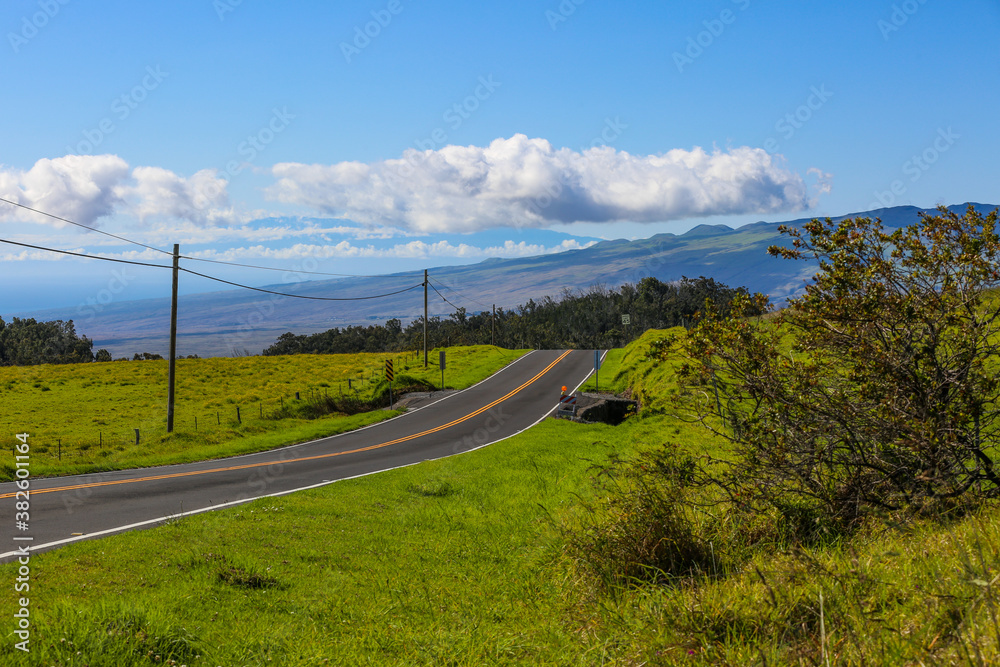 Wall mural the most beautiful country road, hawaii