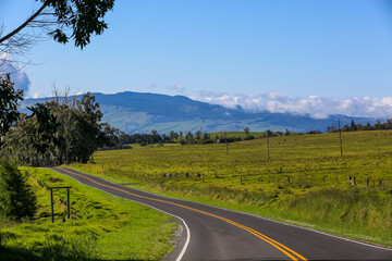 The most beautiful country road, Hawaii
