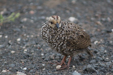 Photo taken in Kruger National Park