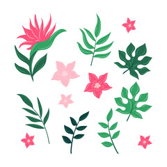 Tropical leaves and flowers collection set, simple and trendy with flat style
