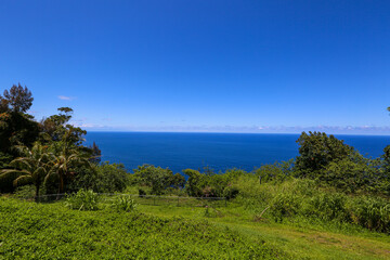 Obraz premium Waipio Valley, Hawaii