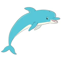 Fotobehang blue dolphin in a jump © Dusan