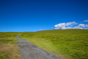The most beautiful country road, Hawaii