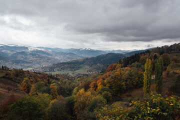 Obraz premium paysage d'une forêt automnale. Massif vosgien automnal. Les Vosges en automne