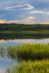 Beautiful summer landscape with a forest lake. Picturesque view of the lakeshore.