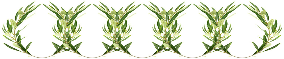frise de couronnes d’oliviers 