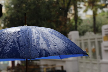 A rainy day and a blue umbrella