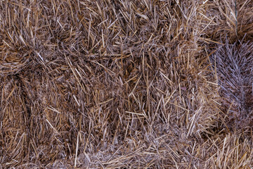 background farm dried hay dark brown, country natural grass design