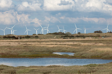 A view of wind turbines across Rye Harbour Nature Reserve