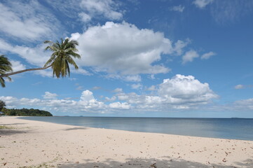 Coconut tree or palm tree on the Beach and Touched tropical beach with blue sky white clouds in Chumphon Province , Thailand