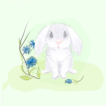 banny and flowers