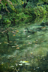 名もなき池（モネの池）