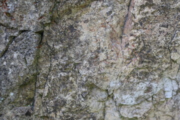 Stone texture or background, nature , shot from mountains rocks