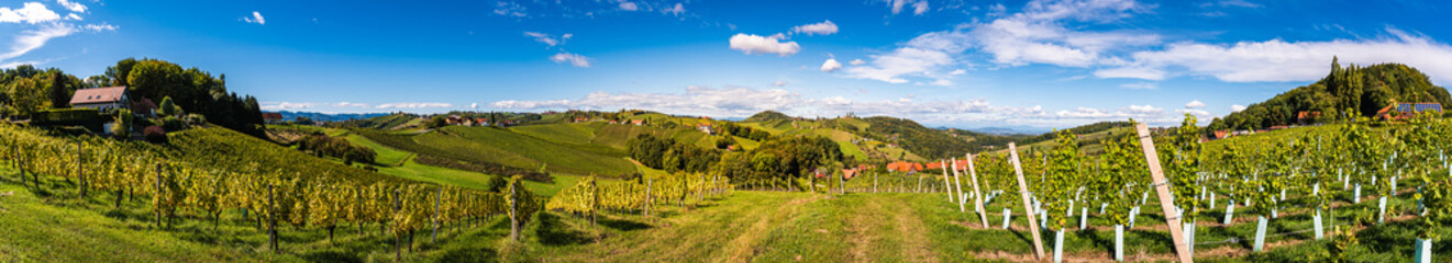 Panorama view from famous south styrian wine street. Ratsch, Austria tourism.