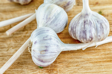 white garlic whole head, traditional vegetable seasoning strongly smelling