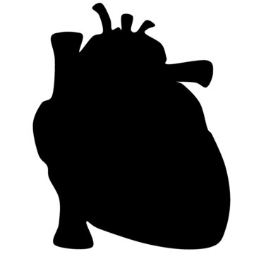 Human heart icon, vector illustration design. silhouette of human hear organ with great vessels