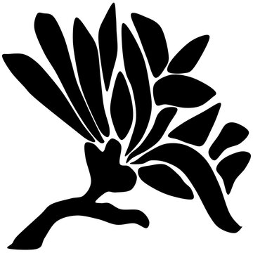 flower drawing, flower drawing vector, simple flower drawing with leaves.