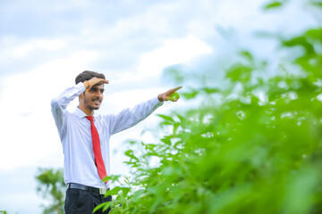 young indian agronomist at field