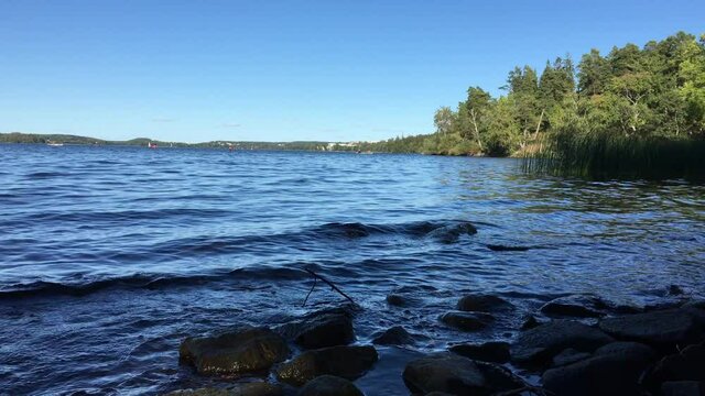 Clear and fresh water at a random place of the Swedish lake Malar or Malaren. Plenty of trees at the other side of the water.  G&ouml;rv&auml;ln, J&auml;rf&auml;lla, Stockholm, Sweden.