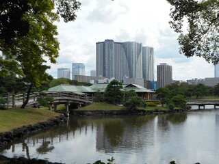 秋の日本庭園（東京）