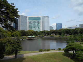 秋の日本庭園（東京）