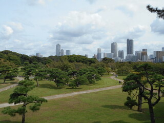 秋の日本庭園（東京）
